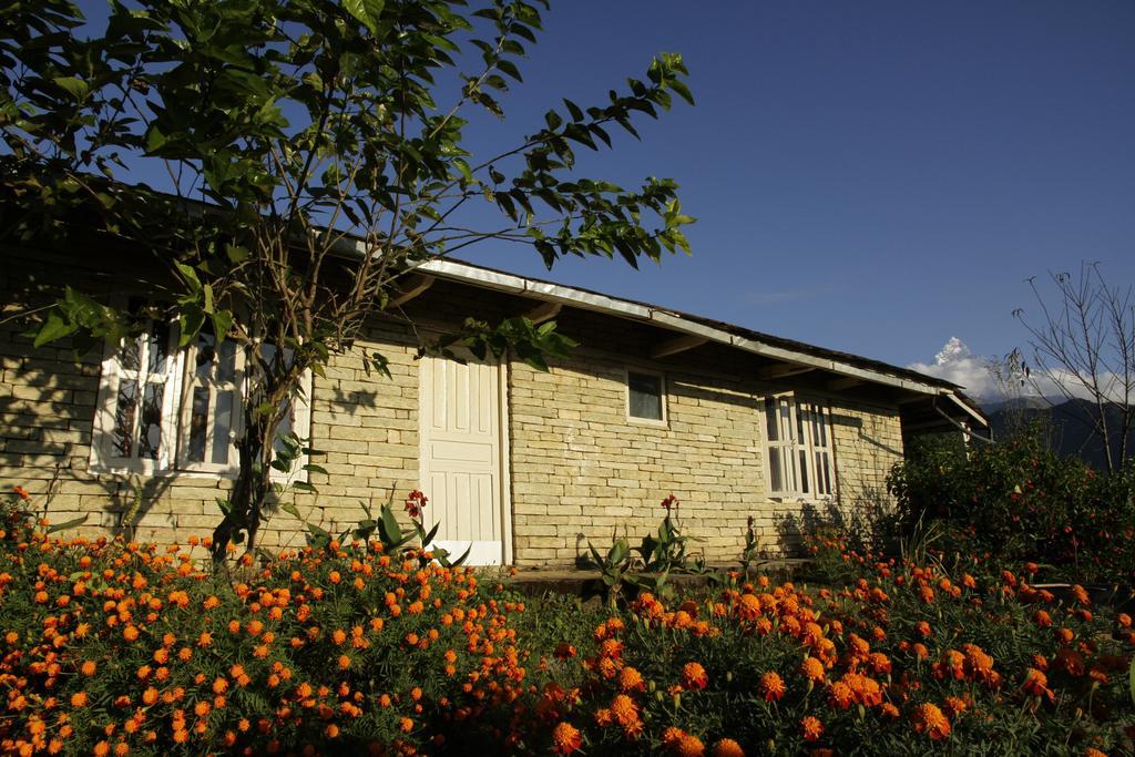 Annapurna Eco Village Pokhara Ngoại thất bức ảnh