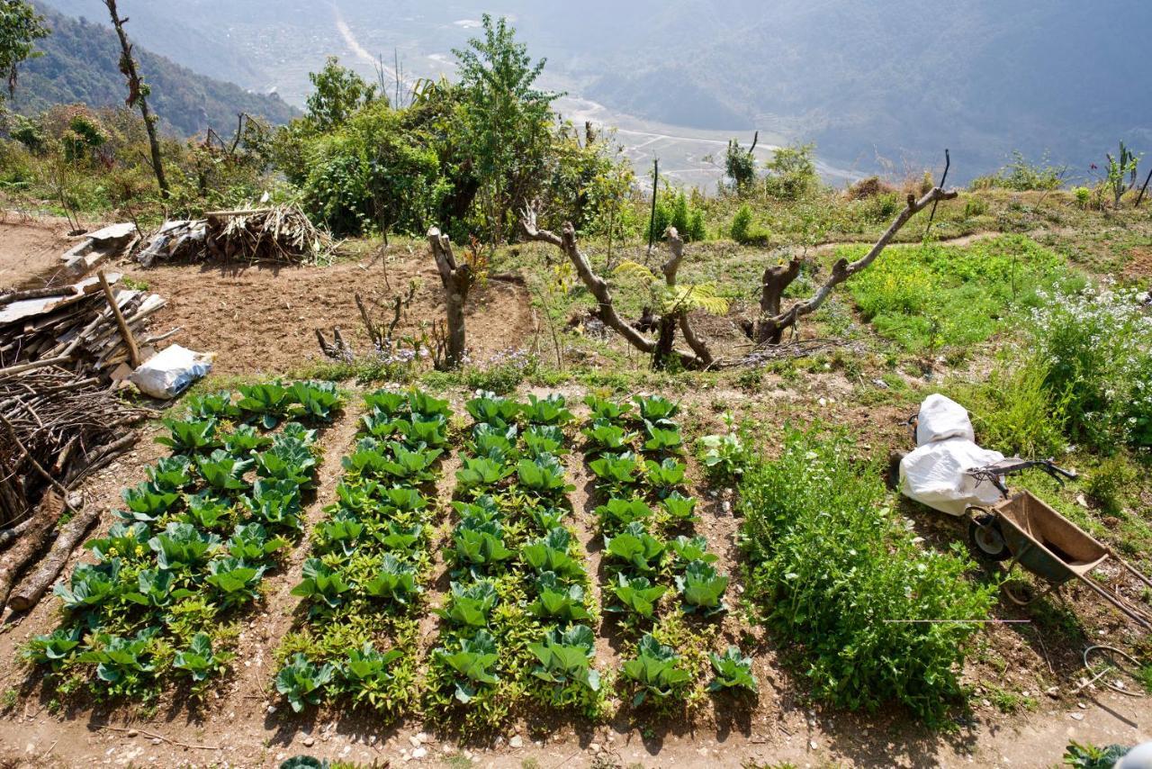 Annapurna Eco Village Pokhara Ngoại thất bức ảnh