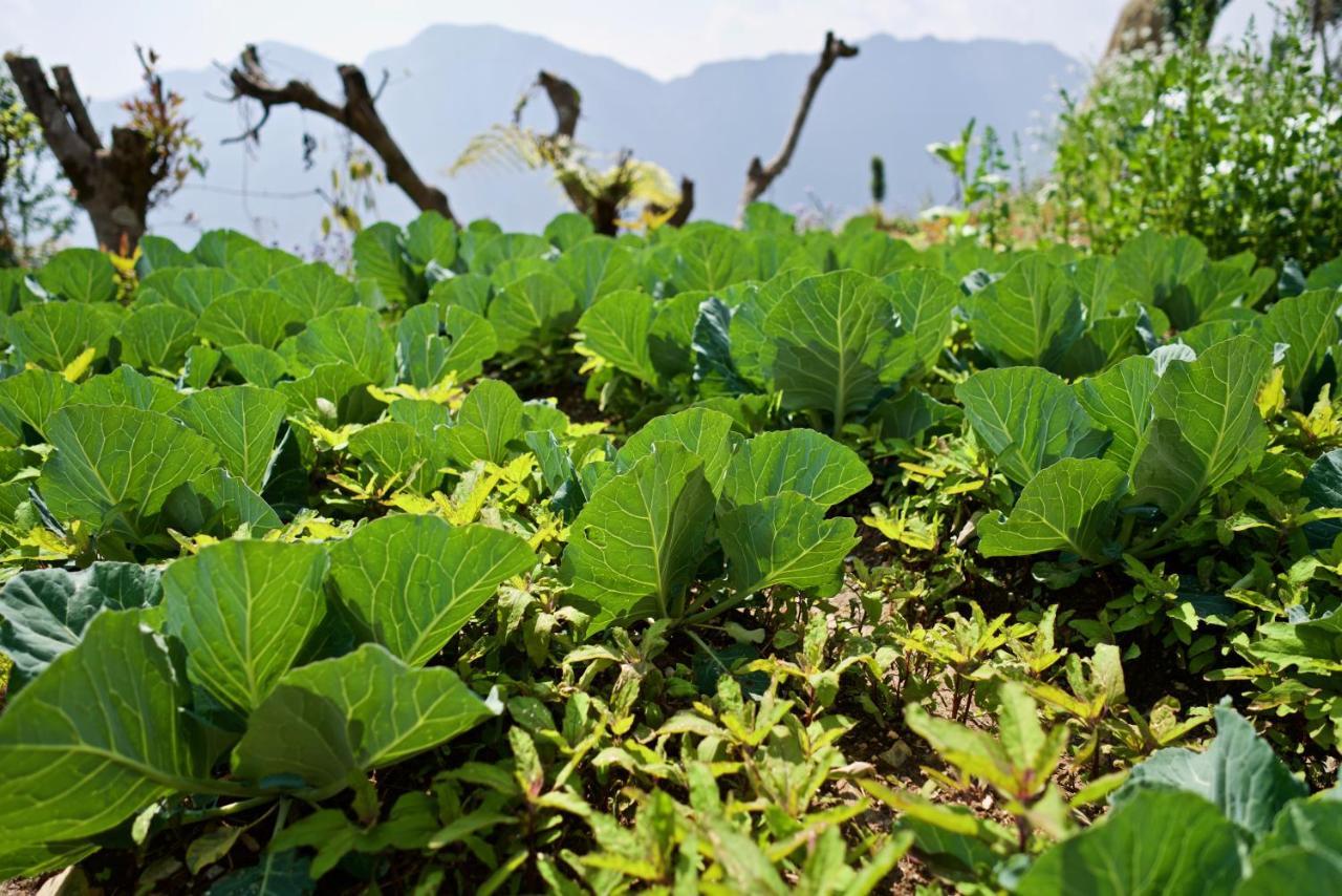 Annapurna Eco Village Pokhara Ngoại thất bức ảnh